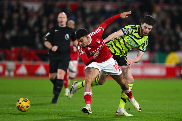 熊的较量中 熊的较量中